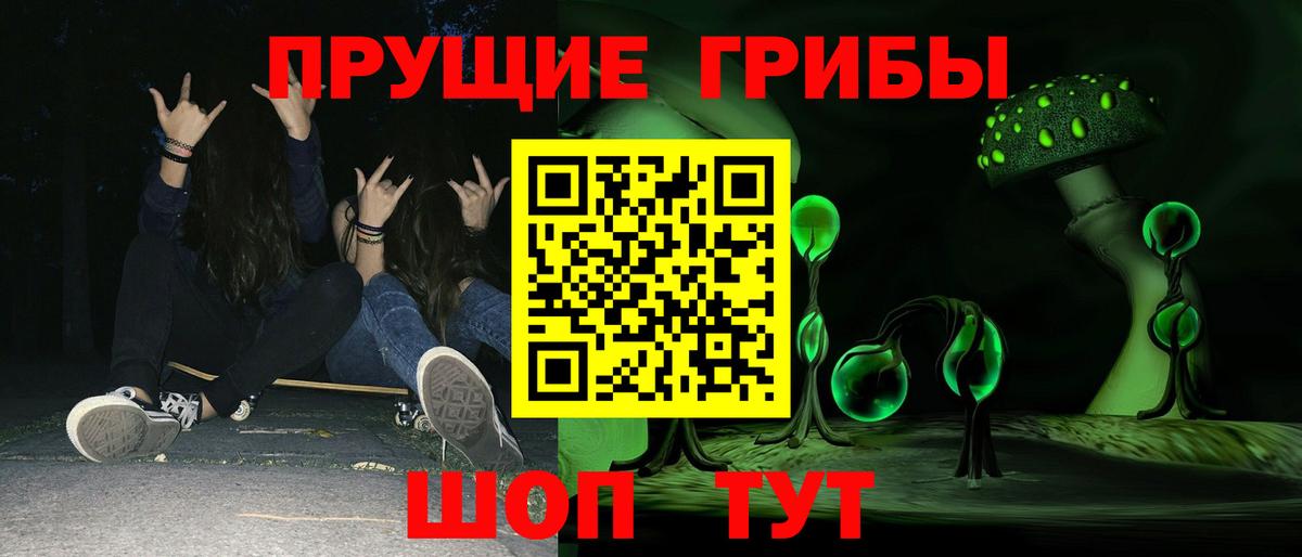 Псилоцибиновые грибы мицелий Карасук