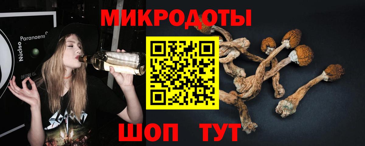 Псилоцибиновые грибы Psilocybe  Вход с VPN  Карасук 